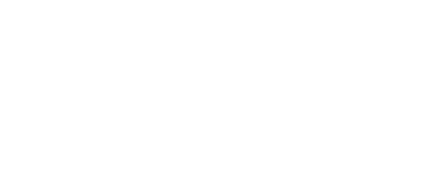 IIVS Global