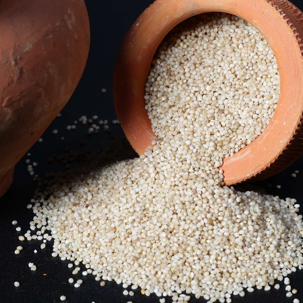 Barnyard MILLET (Unpolished) 500GM