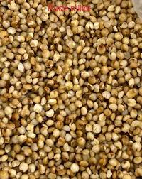 KUDO MILLET (500GM)