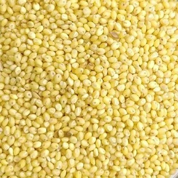 PROSO MILLET WHOLE (1KG)