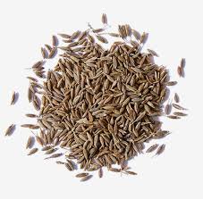 CUMIN  (100GM)