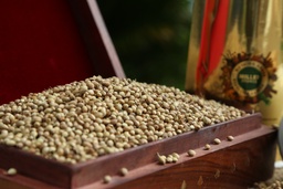 CORIANDER MCOP POWDER 500GM