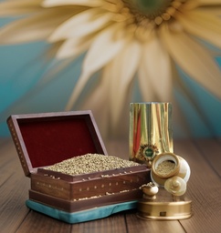 NORMAL CORIANDER POWDER (500GM)
