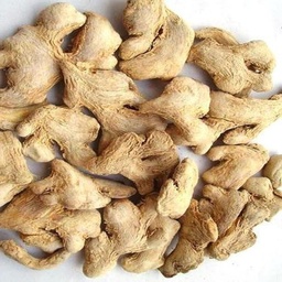 DRIED GINGER 100G